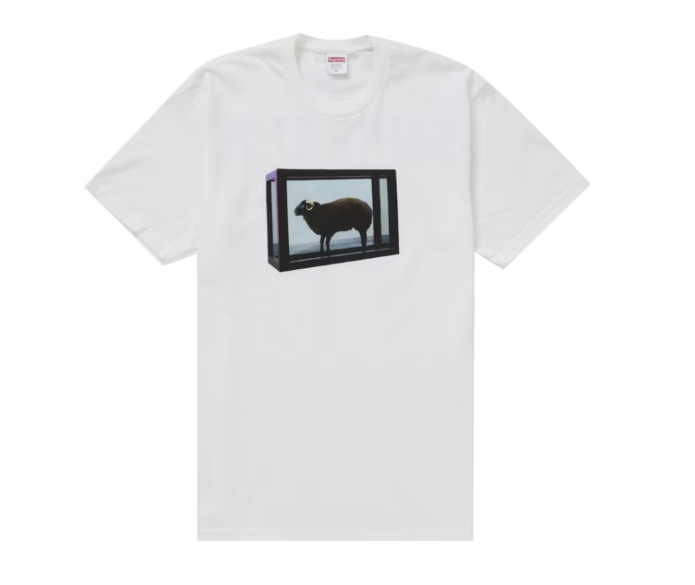 Supreme Damien Hirst Tee - White SS25 brand new deadstock shirt