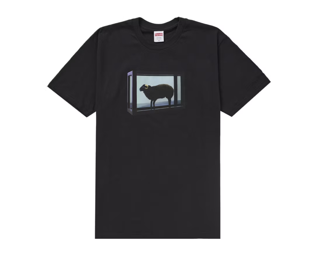 Supreme Damien Hirst Tee in Black, Season SS25, Brand New Deadstock