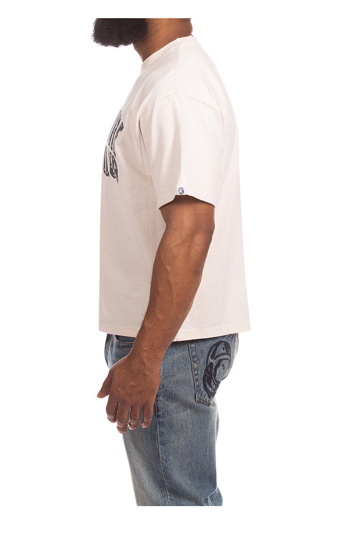 BBC Gardenia BB Faded Curve SS Knit (861-6316)