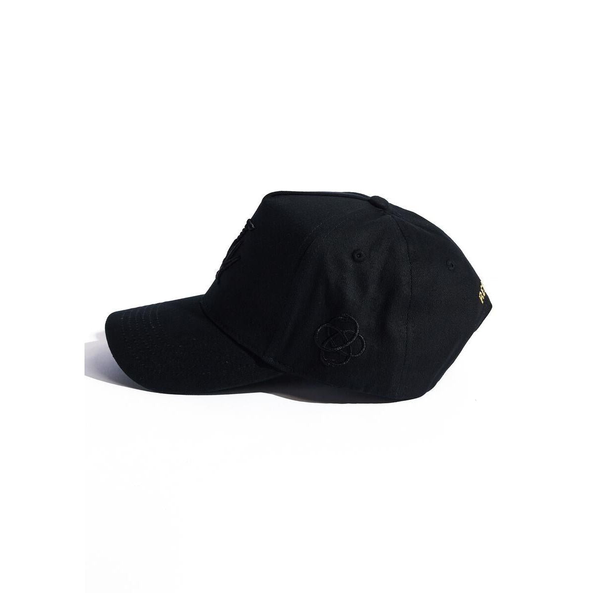 Reference "Paradise LA" Snapback Hat - Black/Black (REF61)