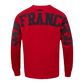 Pro Standard San Francisco 49ers Wingspan LS Tee - Red (FS42410471-RED)