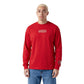 Pro Standard San Francisco 49ers Wingspan LS Tee - Red (FS42410471-RED)