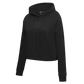 Pro Standard San Francisco 49ers Neutral Women's Cropped Hoodie - Black (FS4C44994-BLK)