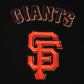 Pro Standard San Francisco Giants Wingspan Hoodie - Black (LSG5315782-BLK)