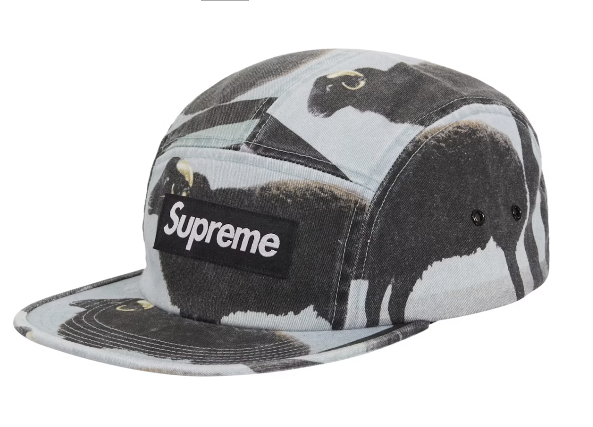 Supreme Damien Hirst Camp Cap - Black SS25, brand new deadstock, trendy streetwear
