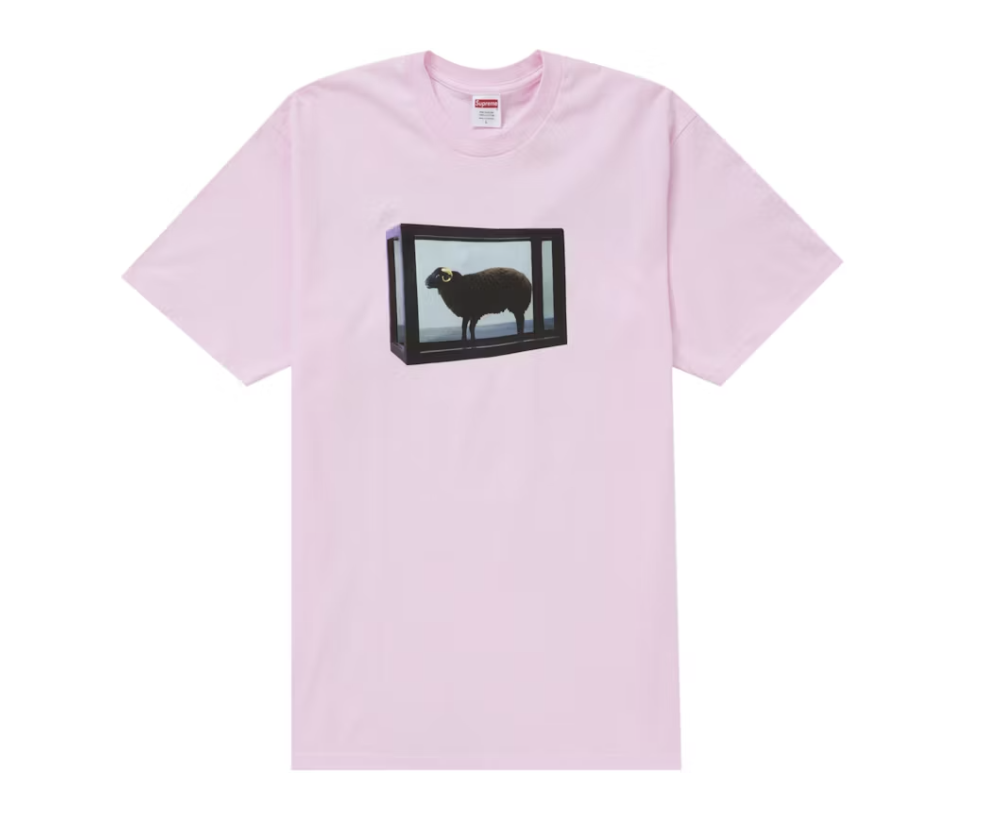Supreme Damien Hirst Tee in Light Pink from SS25 collection, brand new deadstock