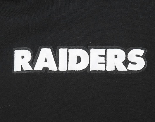 Black Pro Standard Las Vegas Raiders Wingspan Hoodie featuring team logo