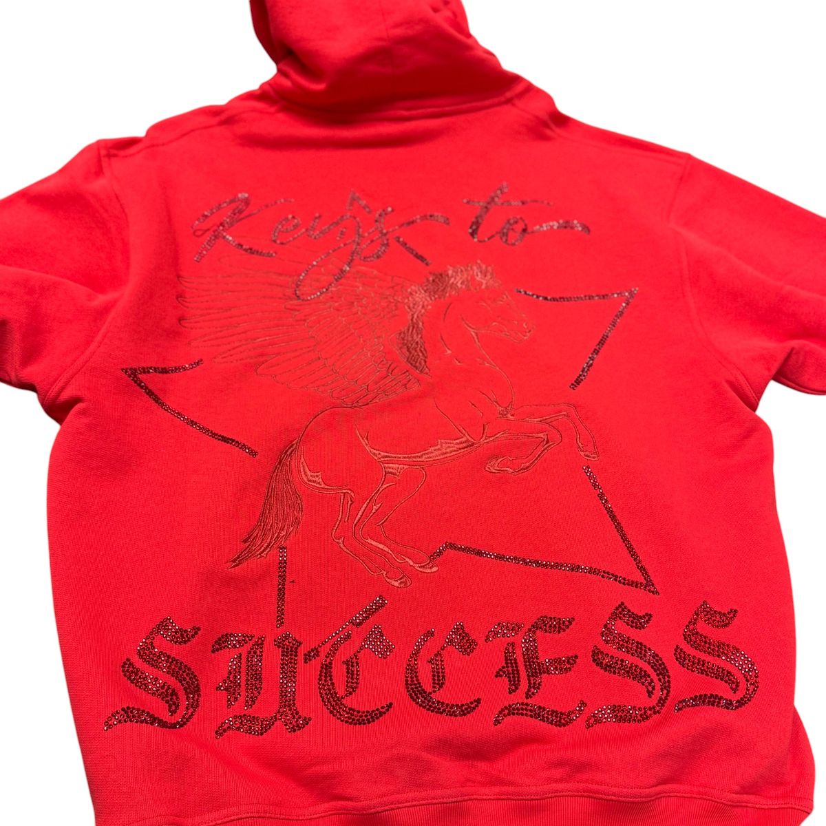 Stylish and comfortable red hoodie with Equus logo on chest
VLBS-VHD1-1001