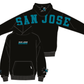 Pro Standard San Jose Sharks Wingspan Hoodie - Black (HSS567817-BLK)