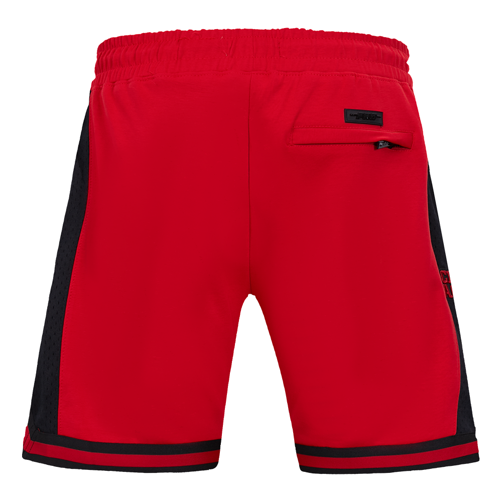 Close-up of Pro Standard logo on red and black San Francisco 49ers athletic shorts with team script
