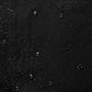 Guapi All Black Embellished Denim Shorts featuring intricate beadwork and stylish design