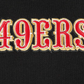 Black Pro Standard San Francisco 49ers Wingspan Hoodie with team logo