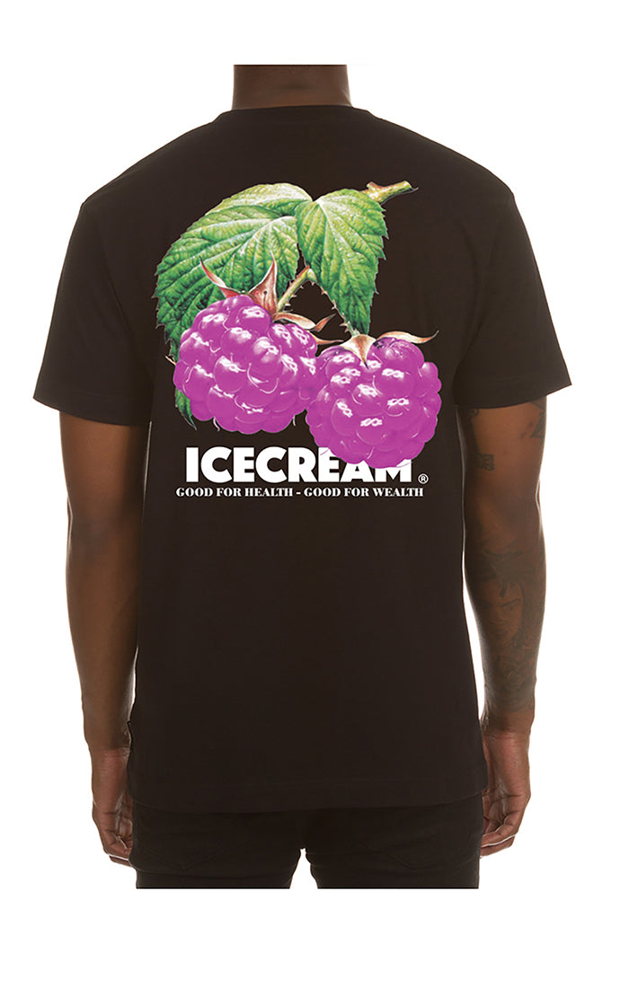  Stylish Ice Cream Black Tee with Fruits Of Labor Design

