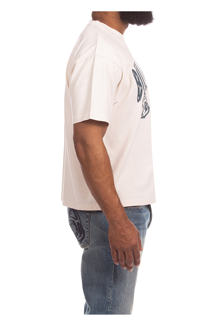 BBC Gardenia BB Faded Curve SS Knit (861-6316)